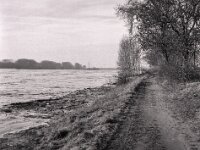 Der Rhein steigt aus seinem Bett  Fuji GS 645 S prof. WDE 60, KODAK TRI-X 400  - 15.02.2026 -
