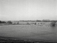 Überflutung am Mäuseturm  Fuji GS 645 S prof. WDE 60, KODAK TRI-X 400  - 15.02.2026 -