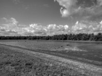 Der kleine See trocknet aus  Pentax K-3 Mark III Monochrome, HD PENTAX - DA* 2.8/ 11-18 ED DC AW - 20.08.2026 -
