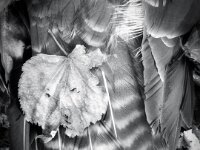 Eine Untersuchung konnte leider nicht mehr stattfinden.  iPhone 17 pro Max  22.01.2026 -