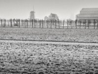 Allee im APX Xanten  Fuji GW 690 III, KODAK TRI-X 400  - 22.01.2026