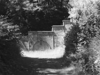 Marxloh, alter Parkbrunnen  Pentax Super A, SMC Pentax FA 1.8/77 Limited, ADOX CHS 100 II   - 22.05.2026 -