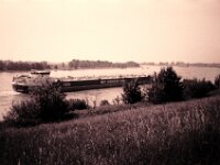 Notwendige Forderung  CHINON AUTO 3001 Multifocus, ADOX CHS 100II  - 24.05.2026 -