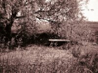 Freiluft Badewanne  CHINON AUTO 3001 Multifocus, ADOX CHS 100II  - 24.05.2026 -