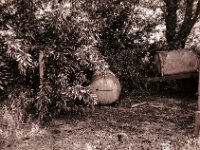 Abgestellt  CHINON AUTO 3001 Multifocus, ADOX CHS 100II  - 24.05.2026 -