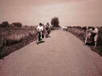 Bislicher Insel Besucher  CHINON AUTO 3001 Multifocus, ADOX CHS 100II  - 24.05.2026 -