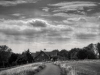 Reiherflug  Pentax K-3 Mark III Monochrome, HD PENTAX - D FA  2.8/24-70 ED SDM WR  -26.08.2026 -