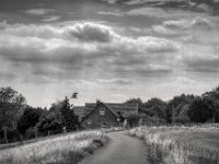 Reiher überm Deich  Pentax K-3 Mark III Monochrome, HD PENTAX - D FA  2.8/24-70 ED SDM WR  -26.08.2026 -