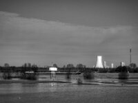 Rheinwiesen im Fluss  PENTAX K-3 Mark III Monochrome, SMC PENTAX-FA 1.9/43 Limited  - 26.02.2026 -