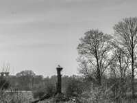 Wo ist der Partner?  PENTAX K-3 Mark III Monochrome, SMC PENTAX-FA 1.9/43 Limited  - 26.02.2026 -