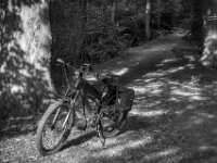 Halt bei meiner alten Buche  Pentax K-3 Mark III Monochrome, SMC PENTAX-FA 1.9/43 Limited  - 28.09.2026 -