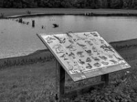 Am kleinen See hinterm Deich  Pentax K-3 Mark III Monochrome, SMC PENTAX-FA 1.9/43 Limited  - 28.09.2026 -
