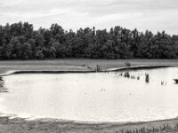 Der kleine See ist fast schon ausgetrocknet  Pentax K-3 Mark III Monochrome, SMC PENTAX-FA 1.9/43 Limited  - 28.09.2026 -