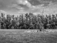 Zukunftsbild  Pentax K-3 Mark III Monochrome, HD PENTAX - DA* 2.8/16-50 ED PLM AW  - 30.09.2026 -