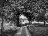 Stille Wege  Pentax K-3 Mark III Monochrome, HD PENTAX - DA* 2.8/16-50 ED PLM AW  - 30.09.2026 -