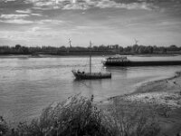 Die Frau, der Hund und der Fluss  Pentax K-3 Mark III Monochrome, HD PENTAX - DA* 2.8/16-50 ED PLM AW  - 30.09.2026 -