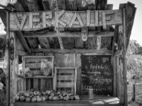 Fallobst  Pentax K-3 Mark III Monochrome, HD PENTAX - DA* 2.8/16-50 ED PLM AW  - 30.09.2026 -