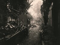 Wärmepumpe  Pentax 645N, SMC PENTX -FA 645  2.8/45, ADOX CHS 100 II   - 05.03.2026 -