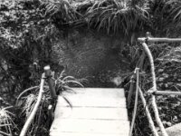 Schuhabdruck  PENTAX K-3 Mark III Monochrome, HD PENTAX - DA* 2.8/16-50 ED PLM AW  - 29.01.2026 -