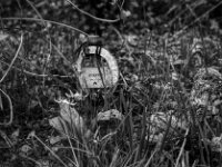 Sternchens Grabstätte  Yashica FR I, Zeiss Planar 1.4/50, ADOX CHS 100II   -10.04.2026 -