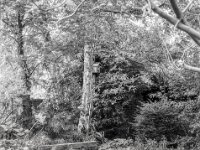 Vogelhaus an der Birke  Pentax MZ-S, SMC Pentax FA 1.9/43 Limited, Kentmere 100   - 02.05.2026 -