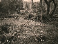 Geheime Gartenbank  Pentax 645N, SMC PENTX -FA 645  2.8/45, ADOX CHS 100 II   - 05.03.2026 -