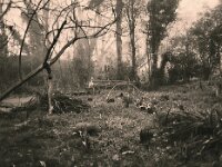 Der Reiher am Teich  Pentax 645N, SMC PENTX -FA 645  2.8/45, ADOX CHS 100 II   - 05.03.2026 -