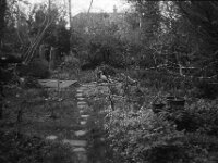 Gartenweg am Morgen  CHINON Auto 3001 Muilti Auto Focus, ADOX CHS 100 II   -  03.04.2026 -