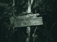 Die Zeit löscht die Regel  CHINON Auto 3001 Muilti Auto Focus, ADOX CHS 100 II   -  03.04.2026 -