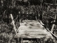 Teichsteg  Fuji GS 645 S prof.WIDE 60, ADOX CHS 100II@400  -08.04.2026 -