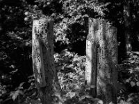 Insektenhotel  Fuji GW 690 III,  Fuji Acros 100 II @ 64  - 26.04.2026 -