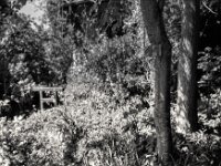 Nummer 14  Fuji GW 690 III,  Fuji Acros 100 II @ 64  - 26.04.2026 -