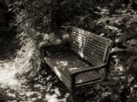 Einladung  FUJI GW690 III, Kentmere Pan 100@50  - 21.06.2026 -