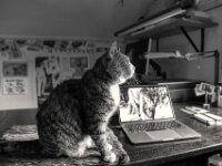 Blick zum Fenster  PENTAX K-3 Mark III Monochrome, HD PENTAX - DA* 2.8/16-50 ED PLM AW  - 26.01.2026 -