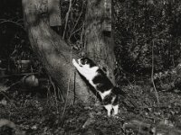 Trainingseinheit I  Pentax 645N, SMC PENTAX-FA 645 2.8/75, ADOX CHS 100II  -26.02.2026 -