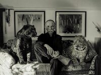 Sofakatzen  Eigene Fotografie und "Image Playground"  Bearbeitung  - 08.10.2026 -