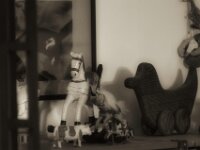 Tierwelt Erinnerung  Pentax K-3 Mark III Monochrome, HD PENTAX - D FA  2.8/24-70 ED SDM WR  -26.08.2026 -