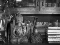 Stille  Pentax K-3 Mark III Monochrome, HD PENTAX - DA* 2.8/16-50 ED PLM AW  - 06.10.2026 -