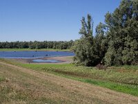 Der kleine See schrumpft  Pentax K-1, SMC PENTAX-FA 1.8/31 AL Limited  - 12.08.2026 -
