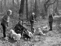 Begegnung auf dem Waldweg  PENTAX K-3 Mark III Monochrome, HD PENTAX - DA* 2.8/ 11-18 ED DC AW  - 07.03.2026 -