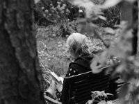 Spannender Krimi  Yashica FR I, Zeiss Planar 1.4/50, ADOX CHS 100II   -10.04.2026 -