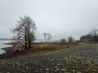 Es wurde abgeholzt  iPhone 17 Pro Max  - 28.01.2026 -