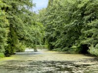 Teich im Schwelgern Park  iPhone 17 Pro Max   - 17.06.2026 -