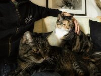 Alice und Middle  iPhone 17 Pro Max   - 04.03.2026 -