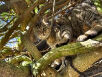 Mito  iPhone 17 Pro Max   - 18.03.2026 -