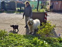 Hallo, guten Morgen  iPhone 17 Pro Max   - 21.03.2026 -